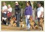 Tresura - ACADEMY DOGS-szkolenie psw-tresura psa