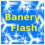 Baner flash, bannery flash na strony www