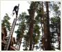 Bezpieczna i profesjonalna wycinka oraz przycinanie drzew ..