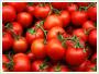Praca Pomidory Niemcy -  6 miesicy 10euro/h - PILNE!