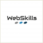 Marketing internetowy Webskills (SEO/PPC)