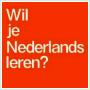 Kurs holenderskiego on-line