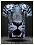 T-shirt Fullprint Black White Tiger