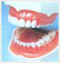 Protetyk, ortodonta - ZSEN
